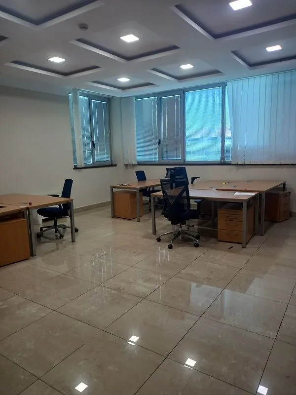 Izdavanje, poslovni prostor, 215m², Botanička Bašta, Palilula Sve Podlokacije