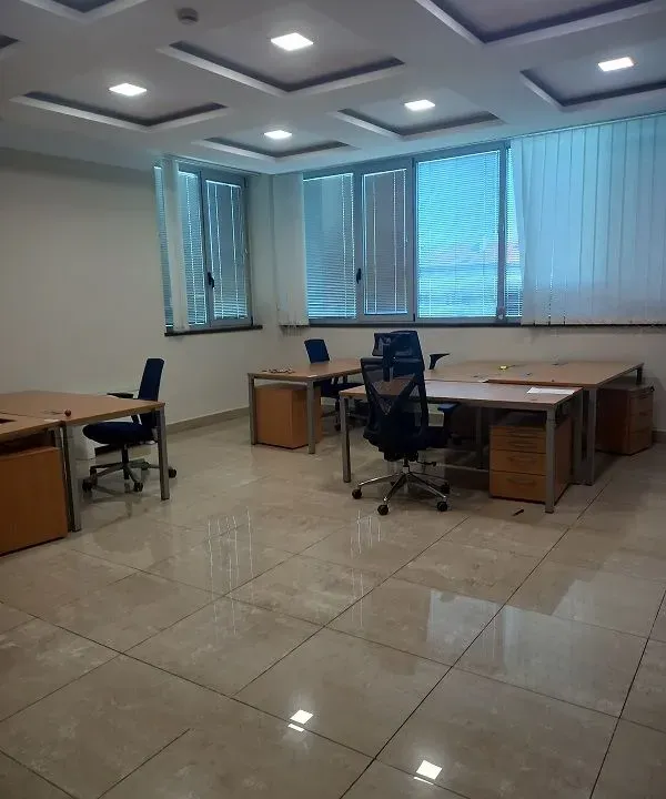 Izdavanje, poslovni prostor, 215m², Botanička Bašta, Palilula Sve Podlokacije