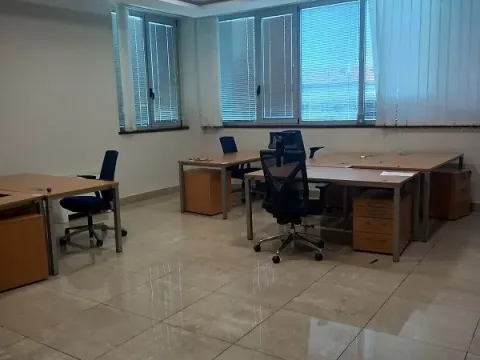 Izdavanje, poslovni prostor, 215m², Botanička Bašta, Palilula Sve Podlokacije