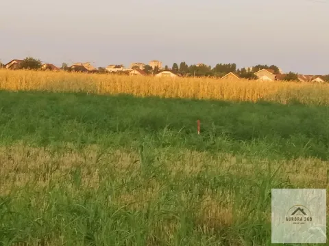 Prodaja, plac, 770m², Veternik, Novi Sad Sve Podlokacije - image 5