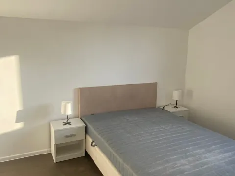 Rent, house, 180m², Palilula Sve Podlokacije, Beograd - image 15