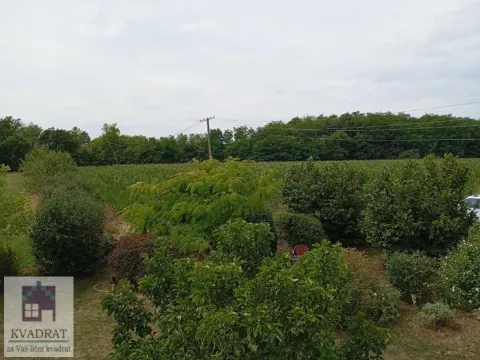 Sale, house, 270m², Mesarci, Vladimirci - image 17