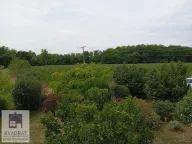 Prodaja, kuća, 270m², Mesarci, Vladimirci - image 17