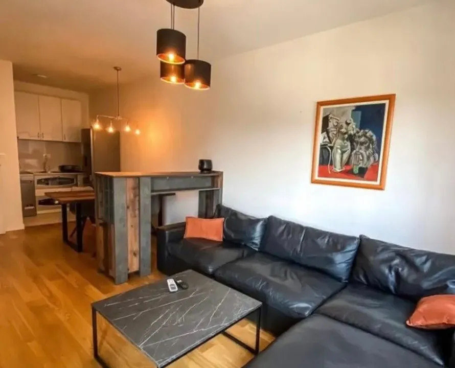 Izdavanje, jednosoban stan, 47m², Central Point, Podgorica