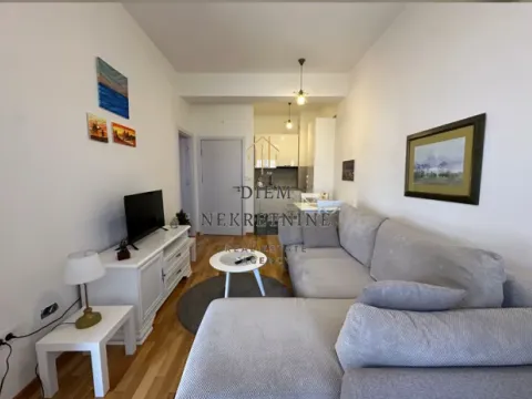 Izdavanje, jednosoban stan, 37m², Ljubović, Podgorica - image 12