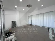Izdavanje, poslovni prostor, 362m², Ljubović, Podgorica - image 13