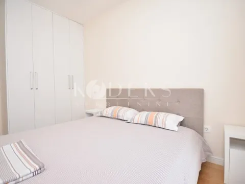 Izdavanje, jednosoban stan, 47m², Central Point, Podgorica - image 4