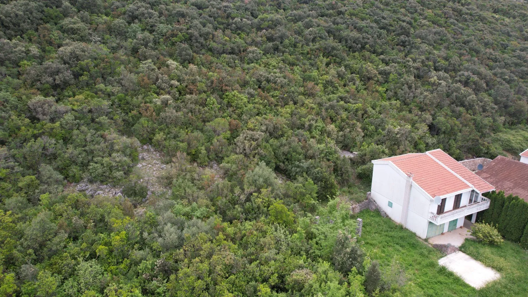 Prodaja, plac, 3585m², Krimovica, Kotor
