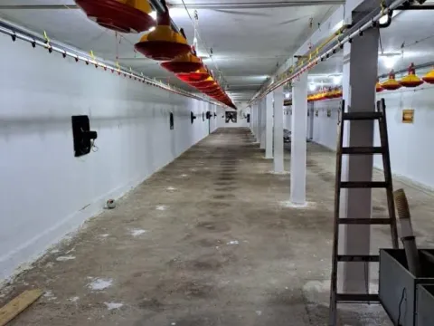 Sale, office space, 1026m², Temerin, Novi Sad - image 10