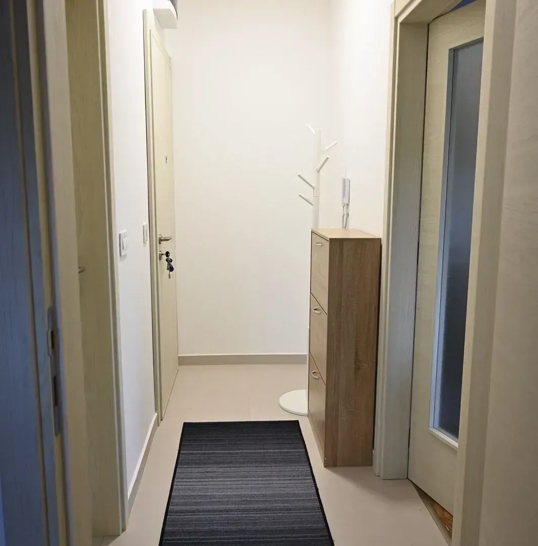 Rent, one bedroom apartment, 50m², Zagorič, Podgorica