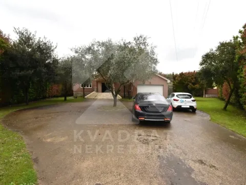 Rent, house, 330m², Golubovci, Podgorica - image 40