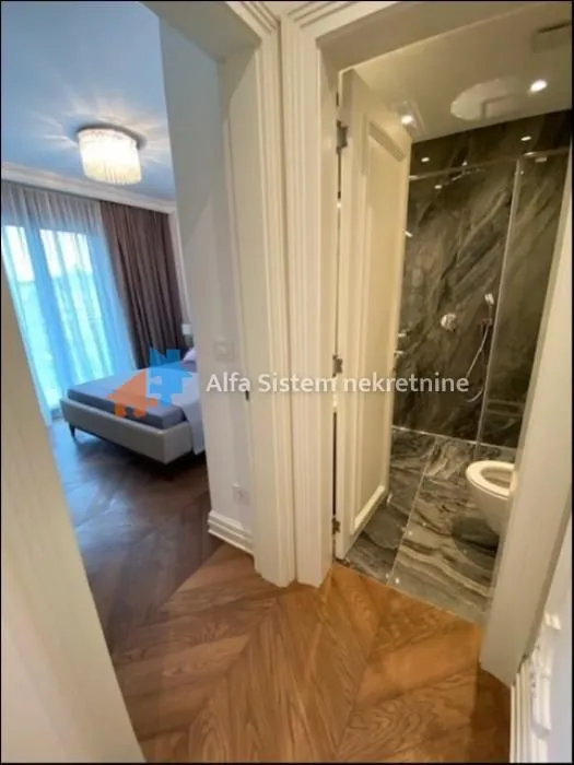 Izdavanje, četvorosoban stan, 170m², Vračar Sve Podlokacije, Beograd