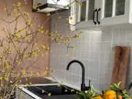 Izdavanje, jednosoban stan, 63m², Preko Morače, Podgorica - image 8