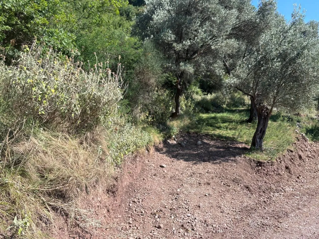 Sale, land lot, 6500m², Centar, Bar