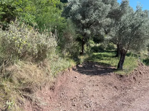 Sale, land lot, 6500m², Centar, Bar - image 4