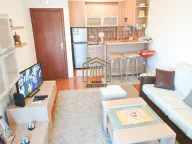 Izdavanje, jednosoban stan, 45m², Stari Aerodrom, Podgorica - image 8