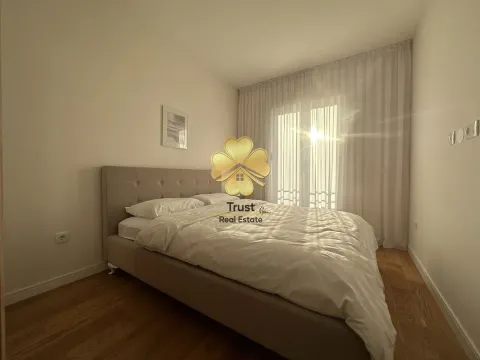 Izdavanje, jednosoban stan, 50m², Central Point, Podgorica - image 4