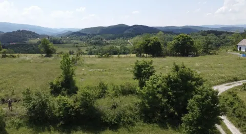 Prodaja, plac, 800m², Rosići, Kosjerić - image 5