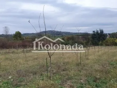 Sale, land lot, 2888m², Parcani, Sopot - image 3
