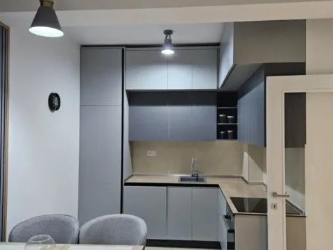 Izdavanje, jednosoban stan, 45m², Zabjelo, Podgorica - image 9