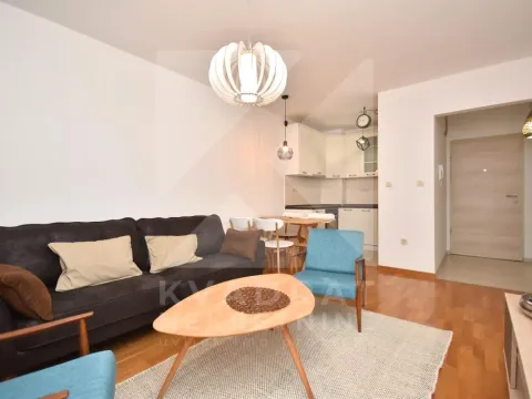 Izdavanje, jednosoban stan, 42m², Stari Aerodrom, Podgorica - image 2