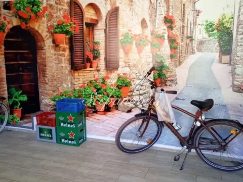 Prodaja, kuća, 168m², Telep, Novi Sad Sve Podlokacije - image 10