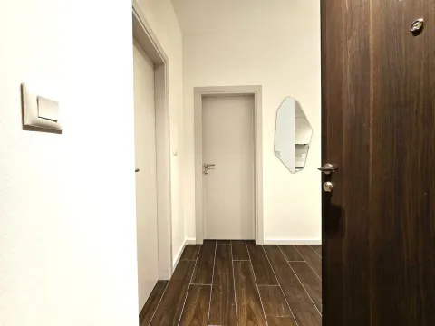 Rent, apartment, 37m², Tološi, Podgorica - image 5