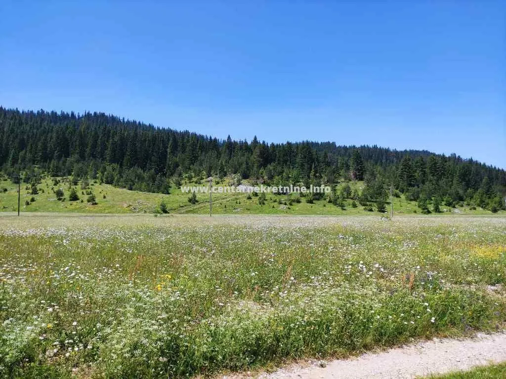 Prodaja, plac, 18883m², Žabljak, Crna Gora
