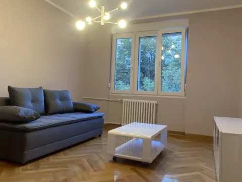 Rent, two bedroom apartment, 61m², Vračar Hram, Vračar Sve Podlokacije - image 13