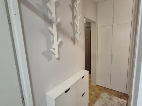 Izdavanje, dvosoban stan, 50m², Novi Beograd Blok 22, Novi Beograd Sve Podlokacije - image 14