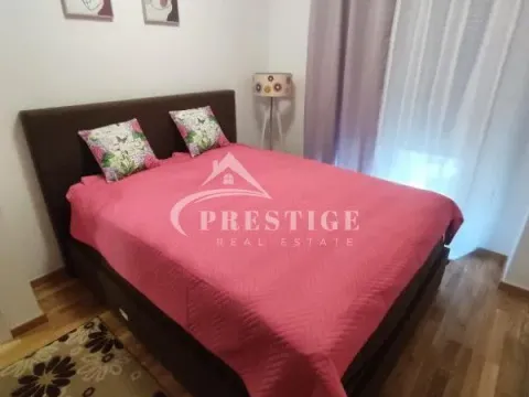 Izdavanje, jednosoban stan, 40m², Zabjelo, Podgorica - image 10