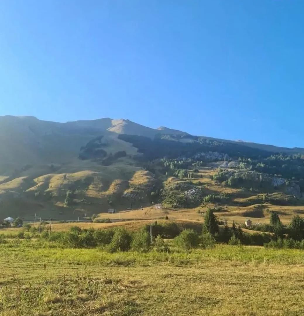 Prodaja, plac, 493m², Berane, Crna Gora