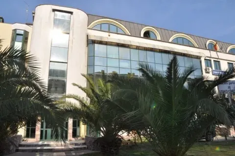 Facade of a modern building with glass panels and palms. - image 4