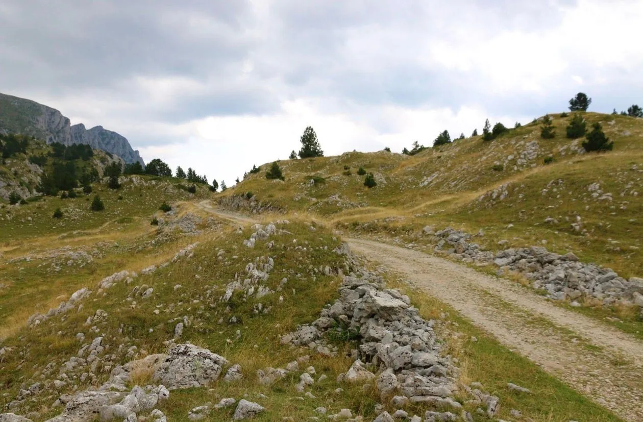 Prodaja, plac, 82000m², Dobrilovina, Mojkovac