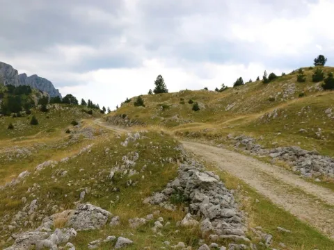 Sale, land lot, 82000m², Dobrilovina, Mojkovac - image 6