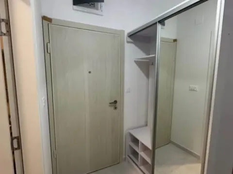 Izdavanje, jednosoban stan, 47m², Zabjelo, Podgorica - image 6