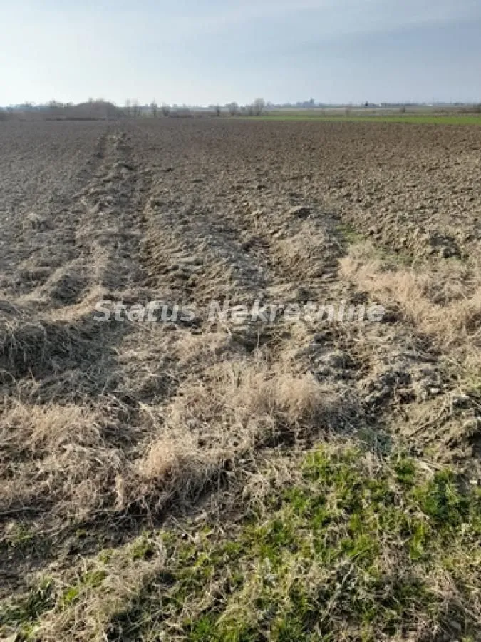 Prodaja, plac, 4400m², Futog, Novi Sad Sve Podlokacije