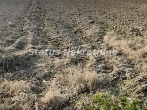 Sale, land lot, 4400m², Futog, Novi Sad Sve Podlokacije - image 5