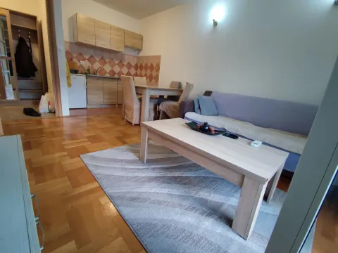 Rent, one bedroom apartment, 40m², Stari Aerodrom, Podgorica - image 2