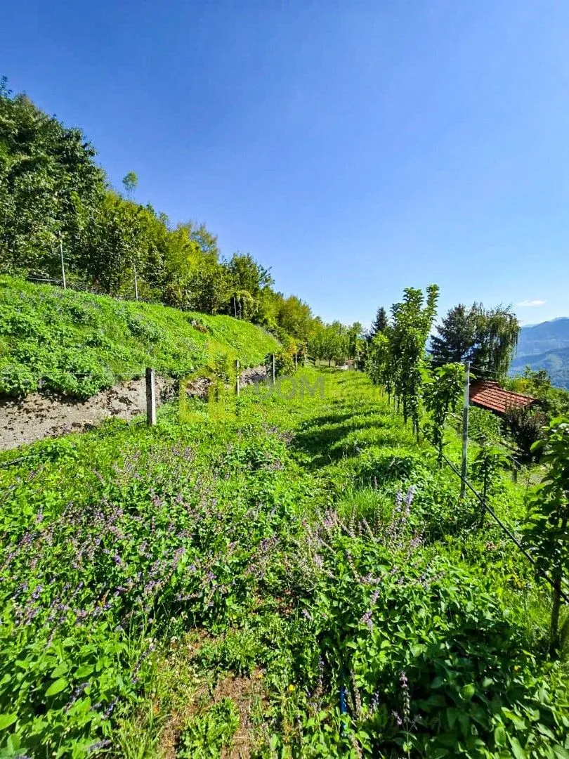 Prodaja, plac, 10000m², Kolašin, Crna Gora