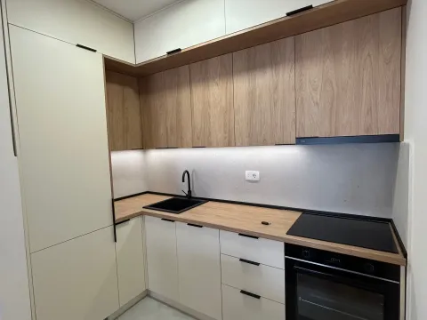 Rent, one bedroom apartment, 49m², Central Point, Podgorica - image 1