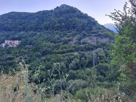 Prodaja, plac, 7627m², Kavač, Kotor - image 3