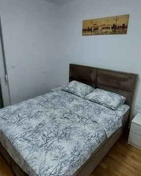 Izdavanje, jednosoban stan, 43m², Zabjelo, Podgorica - image 10