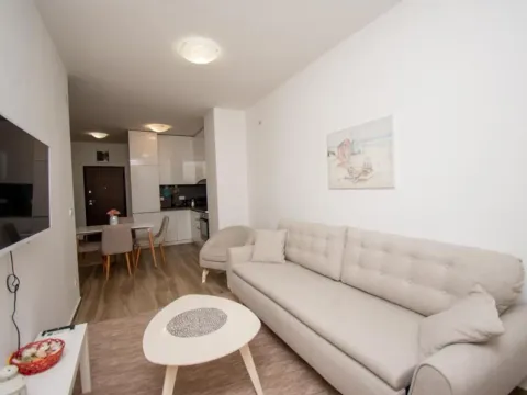 Rent, one bedroom apartment, 46m², Budva, Crna Gora - image 5