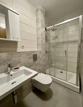 Moderne kupatilo opremljeno tuš kabinom, umivaonikom i toaletom. - image 14