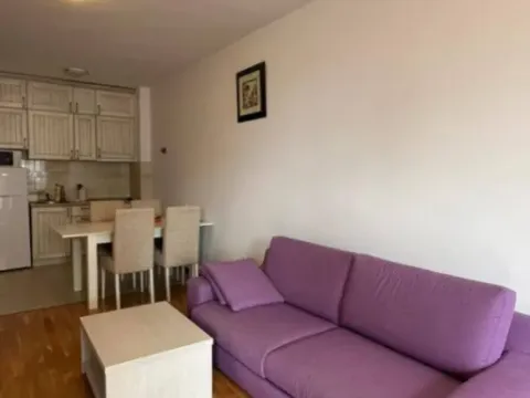 Rent, apartment, 50m², Bečići, Budva - image 7