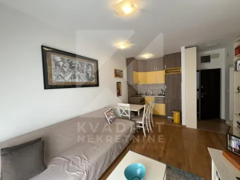 Rent, one bedroom apartment, 30m², Zabjelo, Podgorica - image 3