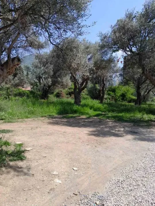 Sale, land lot, 503m², Bjeliši, Bar