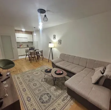 Rent, one bedroom apartment, 49m², Central Point, Podgorica - image 2