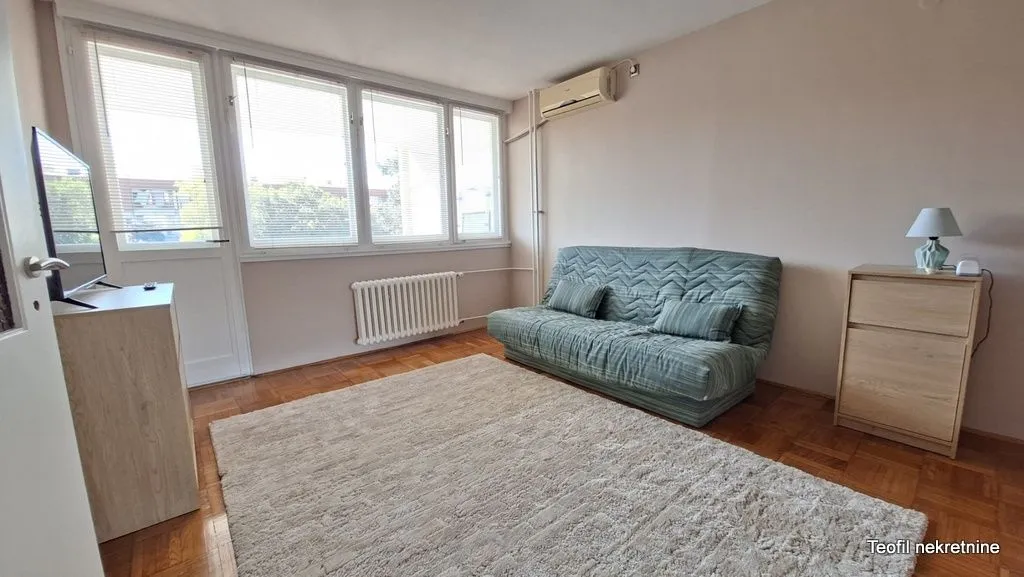 Living room with a green sofa, rug and large windows.